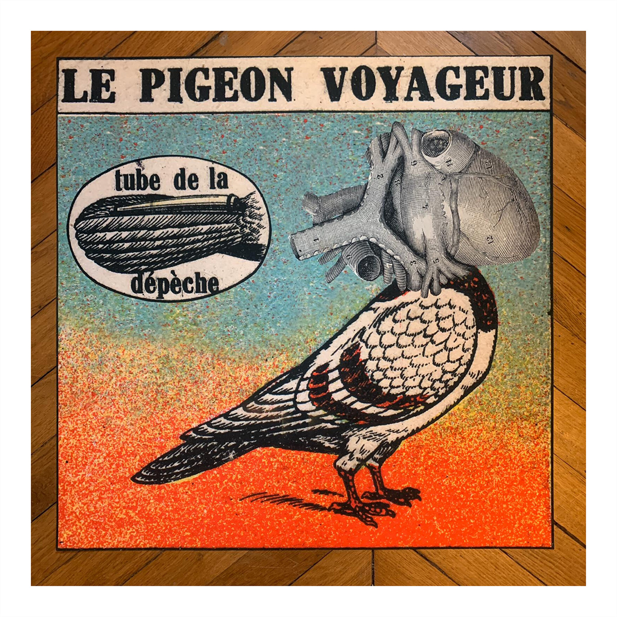 Madame Print Le pigeon voyageur